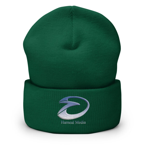Harneal Media Cuffed Beanie - Image 4